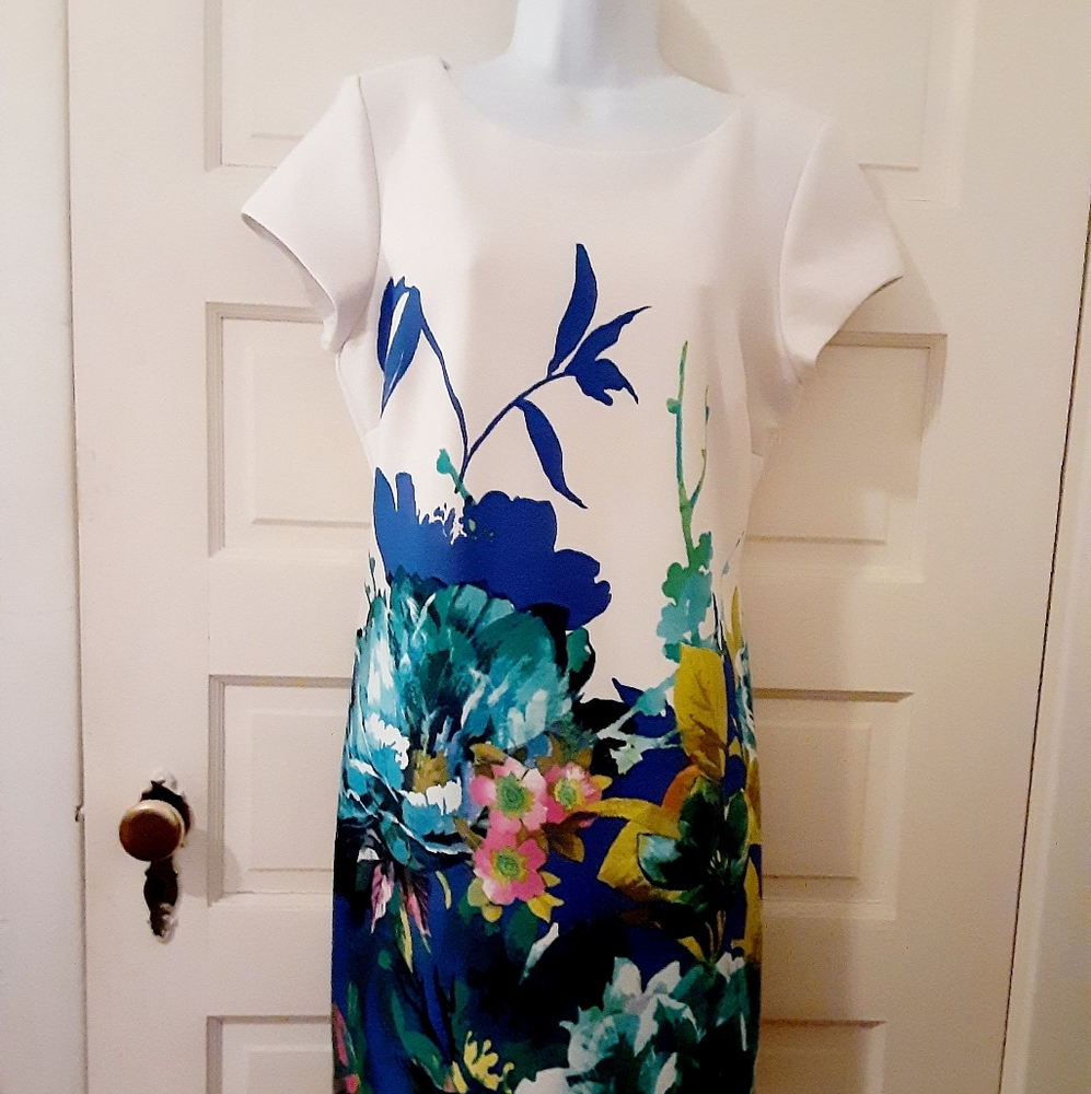 Sandra Darren Blue Tropical Floral Lined Dress Women's 12
